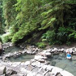 Cougar (Terwilliger) Hot Springs