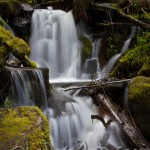 North Umpqua Trail – Tioga Section