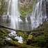 Proxy Falls – McKenzie Highway