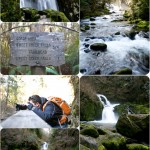 Sweet Creek Falls – Mapleton, Oregon